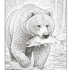 Text: Keine.
Ein Bär trägt einen Fisch im Maul, während er durch flaches Wasser geht. Im Hintergrund dichte Bäume.