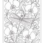 Eine Illustration mit großen Orchideenblüten, geschwungenen Blättern und einer detaillierten Libelle in der Mitte.