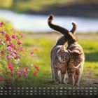 Kalender mit April-Daten und zwei kuschelnde Katzen auf einer blumigen Wiese, im Hintergrund ein Bach.