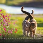 Kalender mit April-Tagen unten. Zwei Katzen gehen eng zusammen auf einem grünen Weg, umgeben von rosa Blumen.