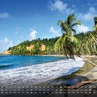 Batibou Beach - Dominica. Palmen neigen sich über einen ruhigen Strand mit blauem Meer und bewaldeten Hügeln im Hintergrund.