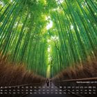 "Bambuswald von Arashiyama 4" steht unten rechts. Hohe Bambusbäume bilden einen grünen Tunnel über einem Weg.