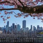 Kalender mit "Kirschblüte Vancouver", Bild: rosa Blüten über Stadt, moderne Hochhäuser im Hintergrund.