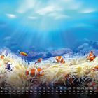 Kalender mit Wochentagen und Zahlen im Vordergrund. Clownfische schwimmen in hell beleuchtetem, blauem Meer über Korallen.
