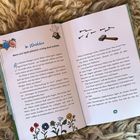 Eine Illustration aus einem Buch: "Im Wäldchen – Wenn sich Spaß plötzlich richtig doof anfühlt". Zahl 29 unten rechts. Zeichnungen: ein Schwein, Gummistiefel, Nägel, Hammer, Blumen.