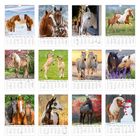 Text: Januar, Februar, März, April, Mai, Juni, Juli, August, September, Oktober, November, Dezember. 

Ein Kalender mit Pferdebildern.