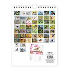 Art.-Nr.: 260710, 9,95 €. Trötsch Verlag. Kalender mit Fotos von Vögeln auf Ästen, je Monat eine Seite.