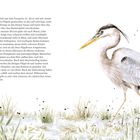 Text beschreibt Vögel und Insekten in der Natur. Rechts ist eine realistische Illustration eines Graureihers im Gras.