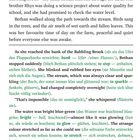 Seite 3 mit englischem Text und deutschen Übersetzungen. Erzählt von Bethan, die am Bach seltsames blau-grünes Wasser sieht.