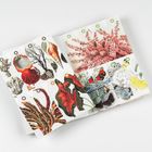 Illustration eines aufgeschlagenen Buches mit farbigen Bildern von Korallen, Muscheln, Pflanzen und Schmetterlingen.