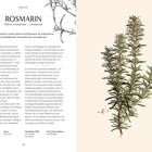 "Rosmarin" und botanischer Name mit Text über Geschichte, Nutzen und Duft. Rechts eine botanische Illustration von Rosmarin.