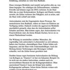 Gleichgewicht kann durch freie Radikale gestört werden. Antioxidantien neutralisieren Radikale und fördern Hautgesundheit.