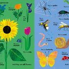 Links bunte Blumen: Rose, Vergissmeinnicht, Ringelblume, Iris, Narzisse, Sonnenblume, Glockenblume, Tulpe, Löwenzahn, Gänseblümchen. Rechts Insekten: Spinne, Raupe, Motte, Käfer, Pillebug, Biene, Wespe, Wurm, Schmetterling, Schnecke, Grashüpfer, Marienkäfer, Libelle.