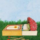 „Matches“ auf einer Streichholzschachtel. Illustration: Ein Pilz mit Gesicht schläft in der Schachtel, umgeben von Gras.