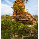 "41 OKTOBER, MO 11 DI 12 MI 13 DO 14 FR 15 SA 16 SO 17." Sandsteinfelsen mit Kieferbäumen und blauer Himmel.