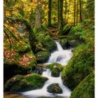 "46 NOVEMBER" und "Gertebach im Bühlertal im Schwarzwald - Baden-Württemberg". Ein plätschernder Bach im Wald.