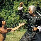 Zwei Personen in Kampfhaltung; eine mit nacktem Oberkörper, die andere in schwarzem Gewand mit weißem Haar. Hintergrund: Natur.