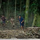 Doug, Kenny, Claire und Griff rennen durch einen Dschungel mit hohen Bäumen, umgeben von dichtem Blattwerk.