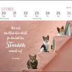 Kalender: 20. bis 26. September. Zitat: "Wer sich den Blick klar erhält, für den hört das Staunen niemals auf." Lin Yutang. Drei Katzen.