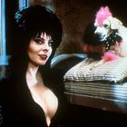 Person mit dunklem Haar und starkem Make-up neben einem liegenden, pink gefärbten Pudel auf gestreiften Kissen.