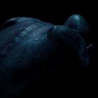 Es gibt keinen Text. Ein dunkler, muskulöser Rücken eines Wesens im Schatten, leicht blau hervorgehoben.