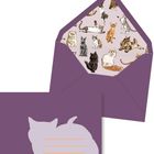Lila Umschlag mit Katzenabbildung innen; außen Katzenumriss mit Linien.