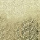 Keine erkennbaren Texte. Eine stilisierte Illustration mit vielen wellenförmigen, sich wiederholenden ovalen Mustern in Beige.