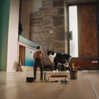 Ein kleiner Mann steht vor einer großen Katze in einem Flur, umgeben von Alltagsgegenständen.