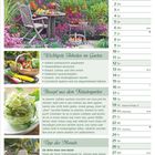 "September", Gartenarbeiten: Fallobst räumen, Tomatenblüten abzwick, Kräuter ernten. Rezept: Zucchini haltbar machen. Tipp: Birnen ernten.