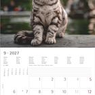 "9 · 2027" und Kalendarium für September. Oben abgebildet ist eine grau getigerte Katze vor unscharfem Hintergrund.