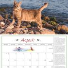 August-Kalenderseite mit Katze am Strand, Aquarell-Illustration oben; rechts langer Text über "Ohne Worte".