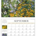 "SEPTEMBER" steht oben. Darunter ein Kalender. Im Hintergrund blühende gelbe und lila Blumen.