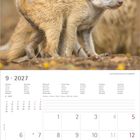 "9 ● 2027". Zwei junge Erdmännchen stehen eng beieinander. Monatskalender mit Tagen und Notizzeilen.