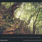 September-Kalenderblatt mit Waldmotiv. Große Bäume mit moosbewachsenen Wurzeln in einem grünen, dichten Wald.