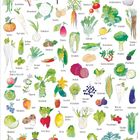 "September" steht oben in einer künstlerischen, handschriftlichen Schriftart. Darunter sind Illustrationen von Gemüse und Obst mit Namen.