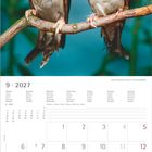 "9 · 2027 Montag Dienstag Mittwoch Donnerstag Freitag Samstag Sonntag." Zwei kleine Vögel sitzen auf einem Ast.