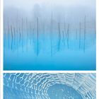 Kalenderseite, Monat 9, 2021. Drei Naturfotografien: trockene Landschaft, nebliger Teich mit Bäumen und ein Spinnennetz.