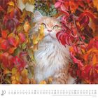 Kalenderseite für Oktober. Eine flauschige, orange-weiße Katze blickt zwischen herbstlichen, roten und gelben Blättern hervor.