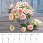Kalender für August mit Rosen und Gerbera in einer Vase; blassrosa und cremefarbene Blumen vor blauer Holzwand.