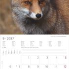 "9 • 2027" steht groß darüber. Kalenderseite mit September 2027. Oben ist der Kopf eines Rotfuchses.
