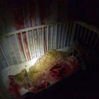 Es ist eine dunkle Szene mit einem toten Tier in einem Gitterbett, umgeben von roten Flecken an den Wänden und dem Boden.