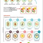 Mein kleiner Blumengarten, ein Kartenspiel für kleine Gärtner. Spielanleitung. Spielidee: Frühling, Garten mit Farbe.