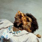 Person mit entstelltem Gesicht in einem Anzug liegt auf dem Boden, trägt eine auffällige Kette mit blauen Steinen.