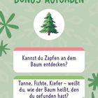 BONUS-AUFGABEN. Kannst du Zapfen an dem Baum entdecken? Tanne, Fichte, Kiefer – weißt du, wie der Baum heißt? Baum-Illustration.