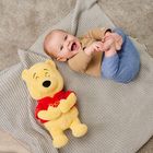 Der Text auf dem roten Shirt des gelben Stoffbären lautet "pooh". Daneben liegt ein lächelndes Baby auf einer grauen Decke.