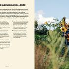 SUNFLOWER GROWING CHALLENGE: Anleitung zum Sonnenblumenanbau, gemusterter Pullover, Frau misst Sonnenblume.