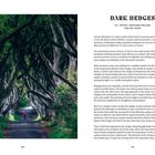 "DARK HEDGES CO. ANTRIM, NORTHERN IRELAND AGE 249 YEARS" steht oben auf der rechten Seite. Links ein Foto von Bäumen, die eine Straße überspannen. Darunter eine Person.