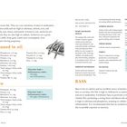 "ANCHOVY", "Anchovy, canned in oil", "Anchovy, raw", "Glcyemic load: 0", "Inflammatory index: Strongly anti-inflammatory". Enthält Nährwertinformationen und gesundheitliche Vorteile von Anchovies.