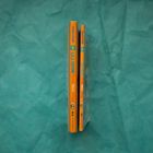 Zwei orange Buchrücken mit blauem und rotem Text auf blauer Oberfläche: "LOLA LEVINE Runs Out of STEAM" von Monica Brown.