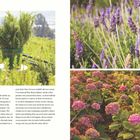 Text: "Overcoming Social Media Overload". Links oben ein Topf mit Rosmarin; rechts Lavendel und unten Hortensien.